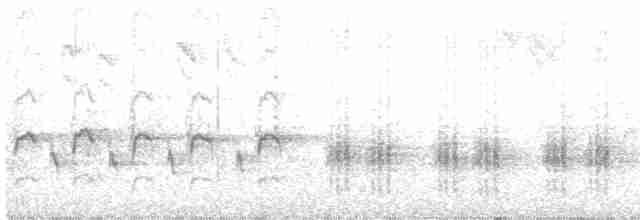 Great Reed Warbler - ML583952371