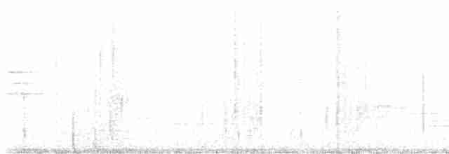 Дрізд-короткодзьоб плямистоволий - ML583967071