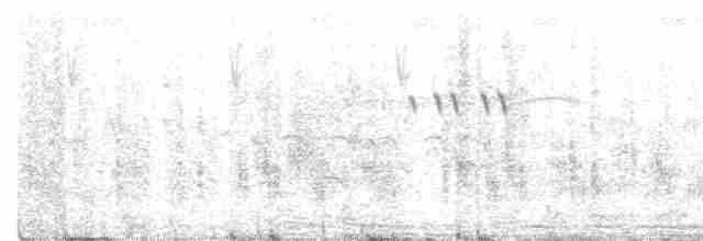 Striped Crake - ML583979651