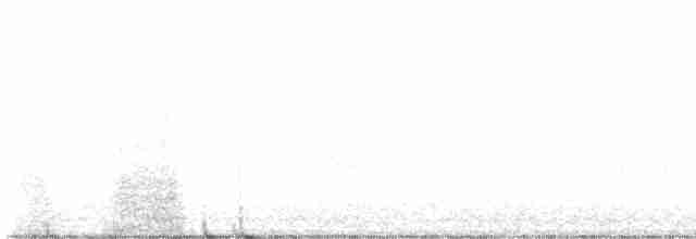 Kentucky Warbler - ML583998791