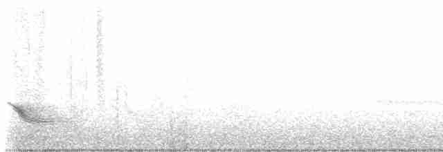 Бурый соловьиный дрозд - ML584007131