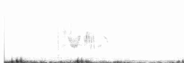 Traquet noir et blanc - ML584047611