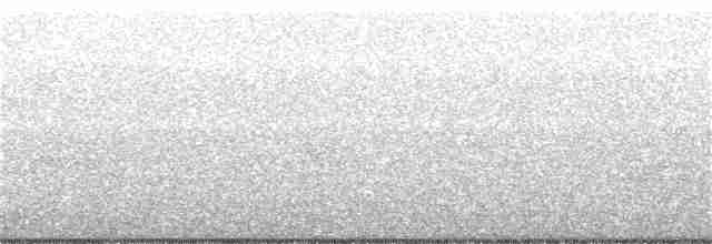 Красноплечий канюк - ML58405771