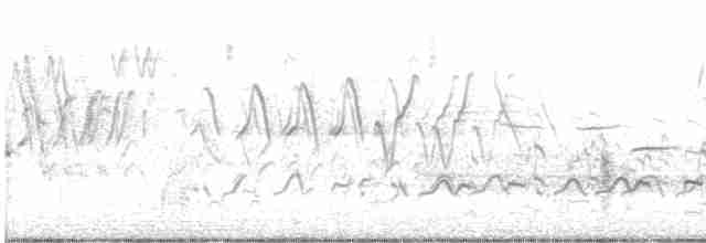 ハジロオオシギ（semipalmata） - ML584059211