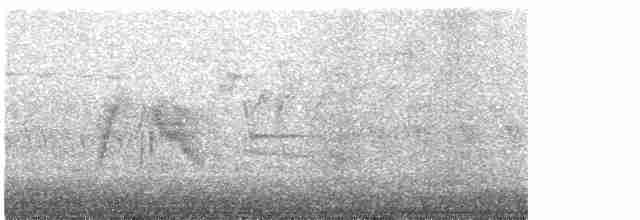 Ивовый мухолов - ML584071611