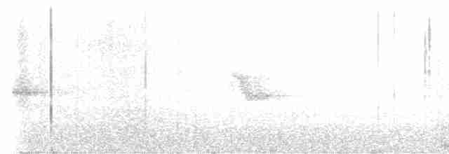 Дрізд-короткодзьоб канадський - ML584117331