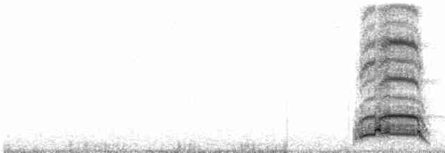 Белохвостая куропатка - ML584217731