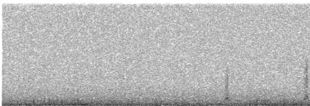 Белохвостая куропатка - ML584217761