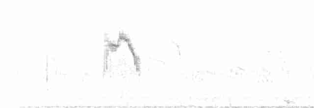 Western Yellow Wagtail (feldegg) - ML584265561