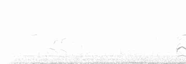 káně lesní (ssp. vulpinus/menetriesi) - ML584267861