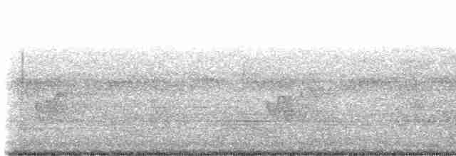 Cerulean Warbler - ML584292371