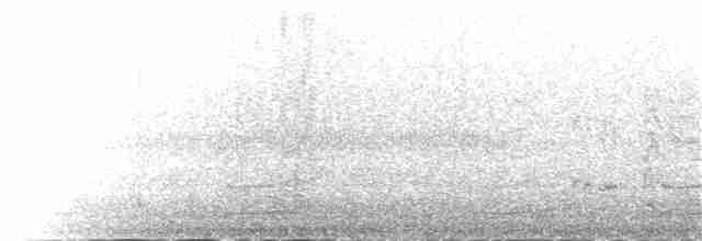 Cassican flûteur (groupe tibicen) - ML58430151