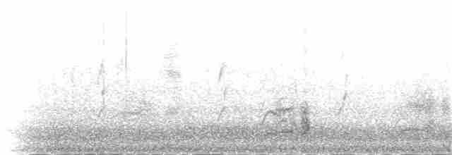 Gray-crowned Babbler - ML58430281