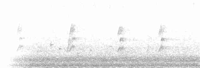 Gray-crowned Babbler - ML58430721