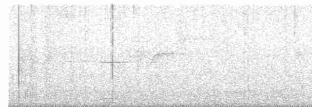 Дрізд-короткодзьоб Cвенсона - ML584319011