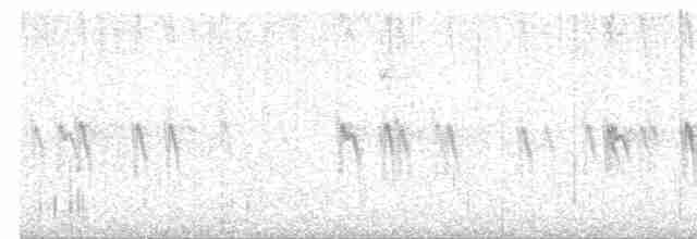 "Шишкар ялиновий (Western Hemlock, або тип 3)" - ML584319351
