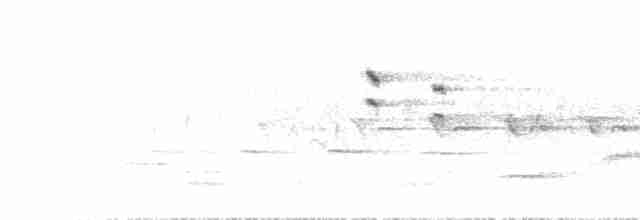 Красноспинная горихвостка - ML584326061