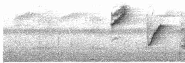 Белокрылая сорокопутовая танагра - ML584439581
