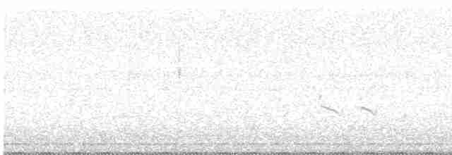 Pluvier petit-gravelot (curonicus) - ML584441211