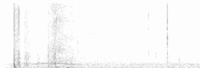 White-eyed Vireo - ML584445301