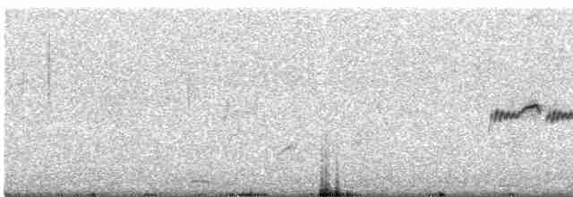 Kaya Çıtkuşu - ML584450521