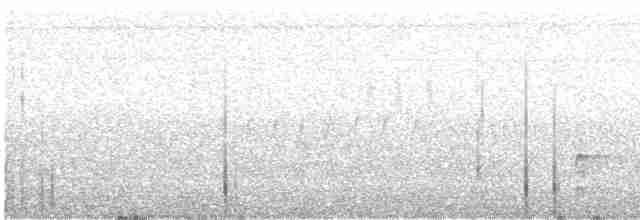 Al Kanatlı Karatavuk (californicus/mailliardorum) - ML584452001