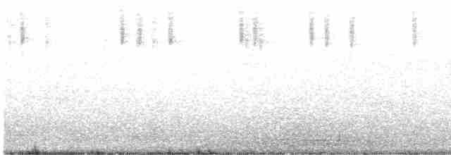 tyranovec vrbový - ML584453051