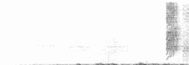 Калита сіроволий - ML584468561