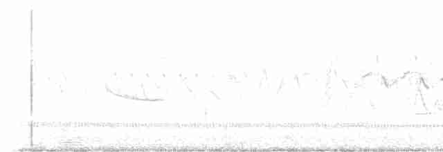 Common Tern - ML584479161