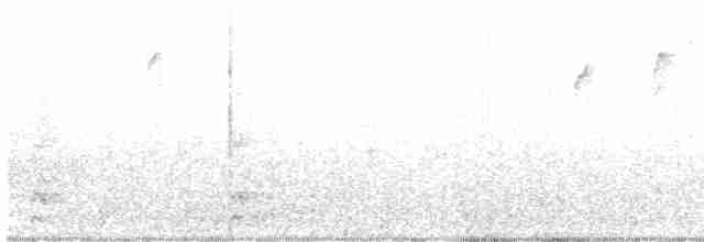 Pileated Woodpecker - ML584506311