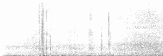 kondor krocanovitý - ML584506681