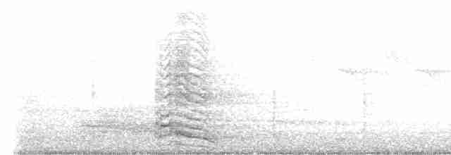 Kaio iluna (graellsii) - ML584548551