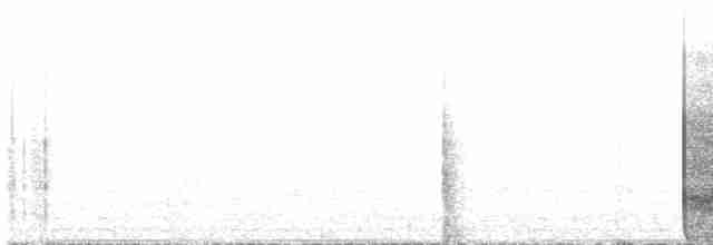 Cerulean Warbler - ML584657581
