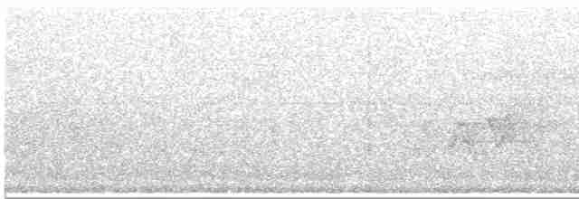 Cerulean Warbler - ML584670251