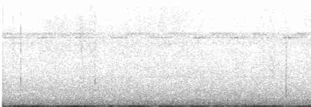 White-tailed Nightjar - ML584689791