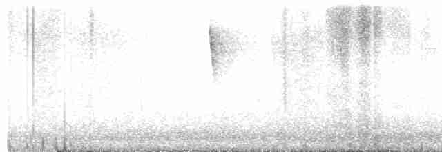 Дрізд-короткодзьоб Cвенсона - ML584714101