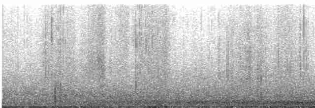 Black-throated Gray Warbler - ML584728131