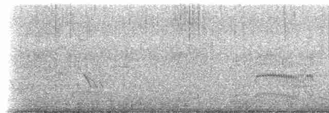 Common Tern - ML584731991