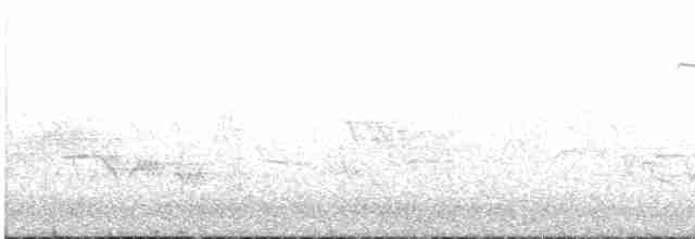 Common Yellowthroat - ML584736071
