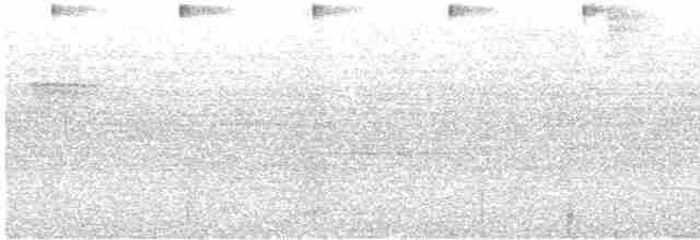 Колібрі плямистоволий (підвид maculata) - ML584762851