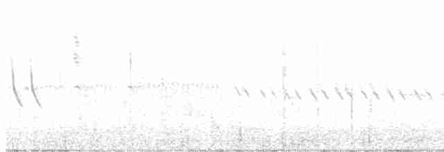 Beifuß-Spottdrossel - ML584794331