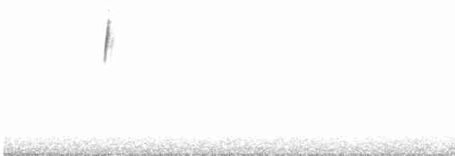 Gray-hooded Sierra Finch (gayi/caniceps) - ML584805191