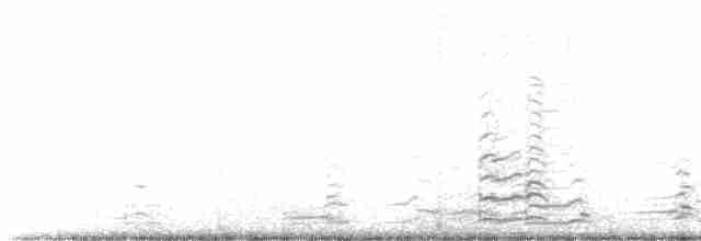 Bernache de Hutchins (leucopareia) - ML584811521