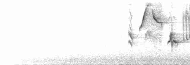 Turuncu Gagalı Bülbül Ardıcı - ML584820181