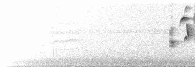 Turuncu Gagalı Bülbül Ardıcı - ML584828271