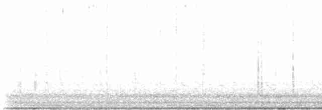 Черноклювая гагара - ML584836761