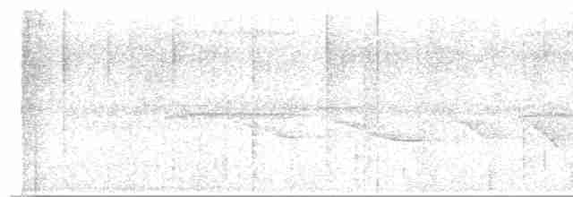 Riverbank Warbler (Southern) - ML584846001