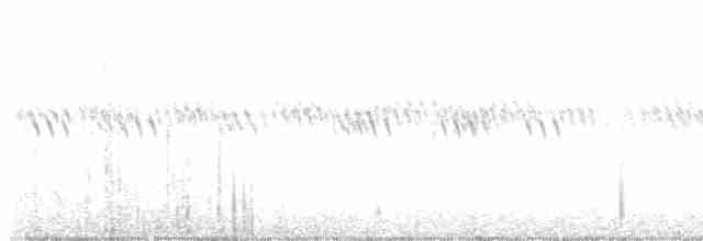 Каньонный крапивник - ML584849491