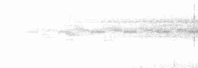 Band-tailed Barbthroat - ML584859111