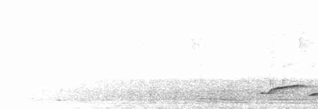 Поплітник білогорлий - ML584861761